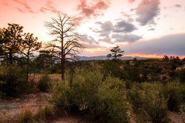 Fototapeta na wymiar Colorado Sunset from Palmer Park