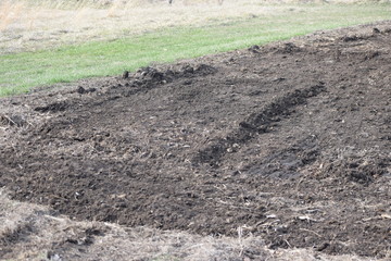 Garden Plot © Steve