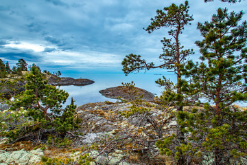 Fototapeta na wymiar Karelia. The nature of Russia. Ladoga lake. Morning on Lake Ladoga. Pines grow by the lake. Rocky shore. Moss grows on the rocks.