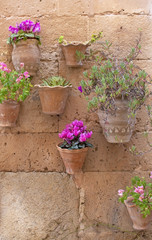 Fototapeta na wymiar Beautiful terracotta flowerpots with pink cyclamen flowers