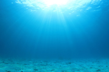 Fototapeta na wymiar Blue ocean underwater 