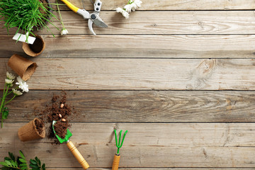 gardening tools, flowers, plant, pot, scattered earth, seeds on wooden background with copy space...