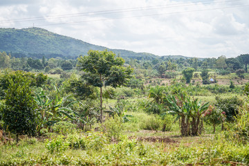 Style of life in Uganda