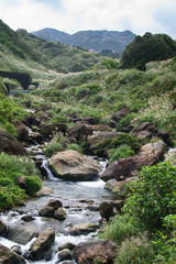 Fototapeta na wymiar River In Taiwan National Park