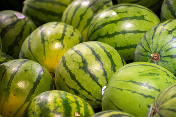 watermelons on the market