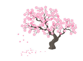 Spring sakura tree with pink flowers