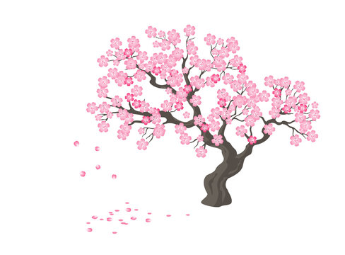 Spring sakura tree with pink flowers