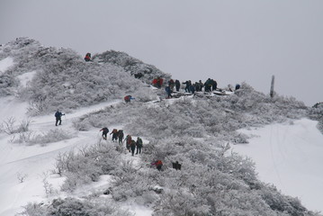 中国地方最高峰　雪の大山　山頂への道　登山者達