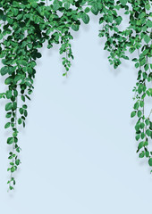 Tropical spring leaves, plant in blue background