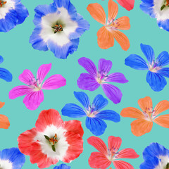 Fototapeta na wymiar Geranium, pelargonium. Seamless pattern texture of flowers. Floral background, photo collage