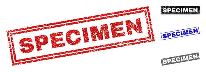 Grunge SPECIMEN rectangle stamp seals isolated on a white background. Rectangular seals with grunge texture in red, blue, black and gray colors.