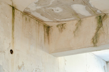 Unhealthy mold damaged walls, ceilings and Floors
