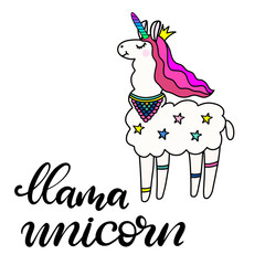 Llama unicorn Lettering vector illustration
