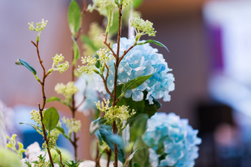 selective focus of colour flower.