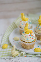 Lemon poppy seed cupcake with easter chocolate bunny and eggs close up selective focus