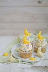 Lemon poppy seed cupcake with easter chocolate bunny and eggs close up selective focus
