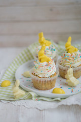 Lemon poppy seed cupcake with easter chocolate bunny and eggs close up selective focus