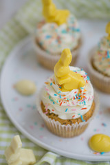 Lemon poppy seed cupcake with easter chocolate bunny and eggs close up selective focus