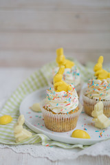Lemon poppy seed cupcake with easter chocolate bunny and eggs close up selective focus