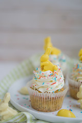 Lemon poppy seed cupcake with easter chocolate bunny and eggs close up selective focus