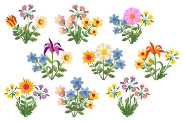 Flower bouquets. Multi-colored summer flowers. Nature is blooming and joyful.