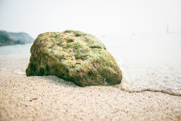  Moss-covered stone closeup on a sandy beach against the backdrop of sea waves