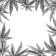 Hand drawn hemp background. Cannabis leaf. Vector sketch of marijuana. Layout design for packaging