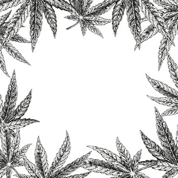 Hand Drawn Hemp Background. Cannabis Leaf. Vector Sketch Of Marijuana. Layout Design For Packaging