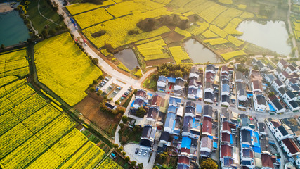 Nanjing, jiangsu, China: aerial photo of yaxi's "international slow city" in a sea of rape flowers covering 10,000 mu