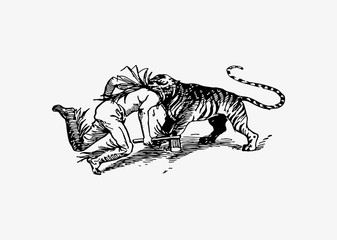 Tiger attacking a man