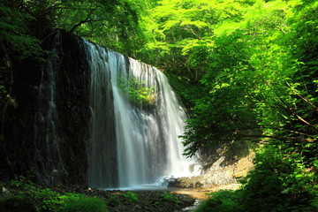 Fototapeta na wymiar 夏の滝