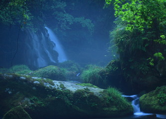 Obraz premium 夏の滝