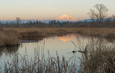 Mount Baker Over Tennant Lake at Sunset Washington State