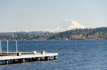 Docks in Medina  with Ranier mountain in the background