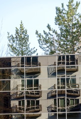 Pines and balcony reflections near First Street in Bellevue