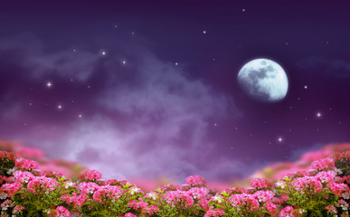 Fantasy background of night sky with shining stars, mysterious clouds, moon and rose flowers field....