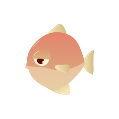 Sea fish on white background. Water life.