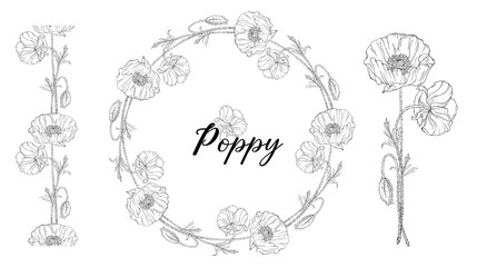 Vegetable vector set of flower of poppy. Round frame. Poppy flowers.