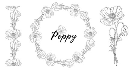 Vegetable vector set of flower of poppy. Round frame. Poppy flowers.
