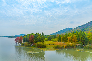 Fototapeta premium The beautiful scenery of Wuxi Li Lake