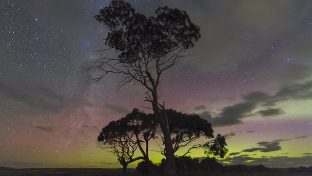Time lapse of the Aurora Australis or Southern Lights behind gum trees in Tasmania, from the St Patrick's Day Geomagnetic Storm of 2015. Spectacular BLUE aurora.