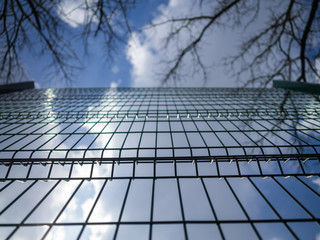 Metal fence in the form of a lattice. Blue sky and branches of trees. Steel grid of a fence
