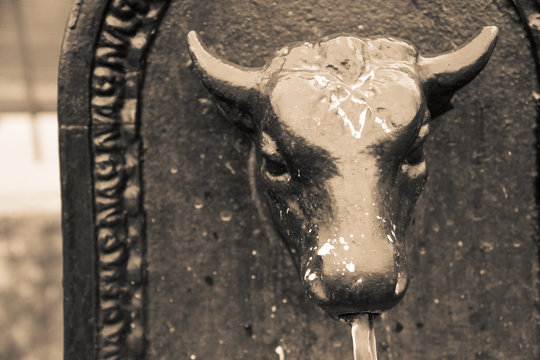 Drinking fountain bull, Retro styled Toret - Little bull - fountain in Turin, Italy.