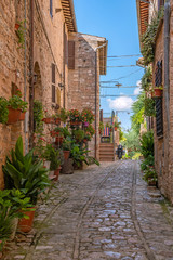 On the streets of Spello, picturesque village in Umbria, province of Perugia, Italy.