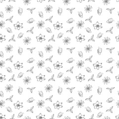 Fototapeta premium illustration of black and white pattern nature plants flowers insects