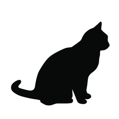 Vector silhouette of the cat  sitting,  black color, isolated on white background