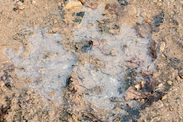 Frozen ice in puddle. Gravel road