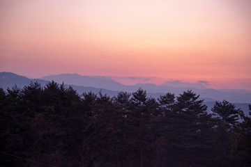 Moutains trees in the evening