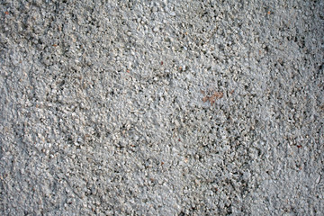 Close up of cement wall, background, pattern1