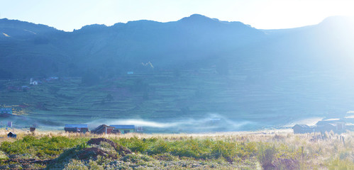 Panoramic photo of rural landscape. Sunrise. Bright and foggy.  